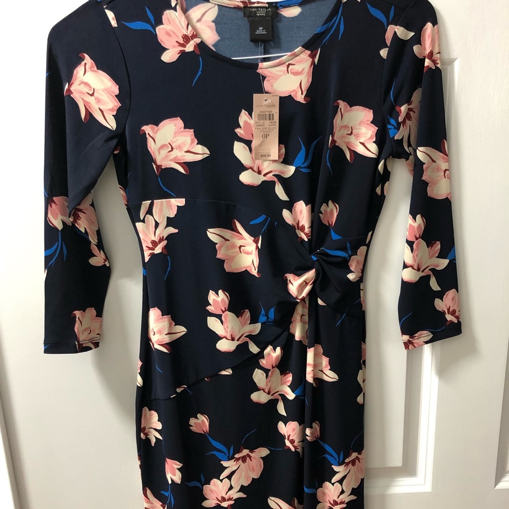 NWT Ann Taylor dress size 0